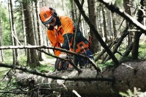 How to choose a chainsaw correctly and what should you pay attention to?