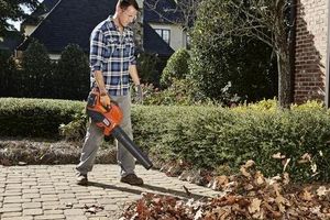 How to choose a garden blower?