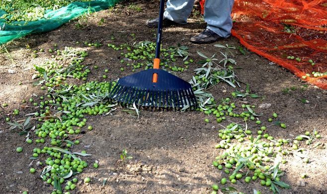 Насадка граблі для листя Fiskars Solid M 415 мм комбісистема (1014914)