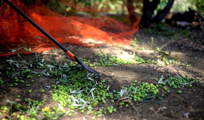 Насадка граблі для листя Fiskars Solid M 415 мм комбісистема (1014914)