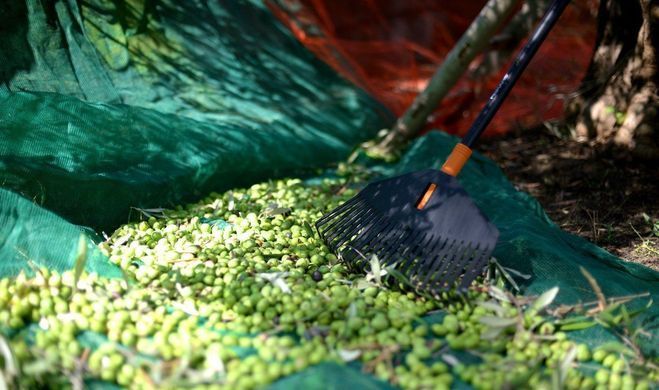 Насадка граблі для листя Fiskars Solid M 415 мм комбісистема (1014914)