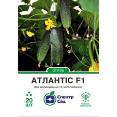 Cucumber seeds сornichon Atlantis F1 SpektrSad 100-120 g 20 pcs (230001340)