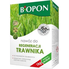 Добриво Biopon для відновлення газону 1000 г (25011)