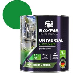 Фарба емаль Bayris Universal аклідна 2.7 кг яскраво-зелена (Б00002029)
