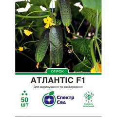 Cucumber seeds сornichon Atlantis F1 SpektrSad 100-120 g 50 pcs (230001342)
