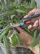 Ножиці для квітів Gardena FreshCut Set 159 мм 20 мм (12212-36.000.00)