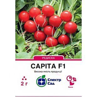 Насіння редиска Саріта F1 СпектрСад 40-45 г 2 г (230001614)