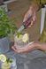 Ножиці для квітів Gardena GripCut 156 мм 10 мм (12213-20.000.00)