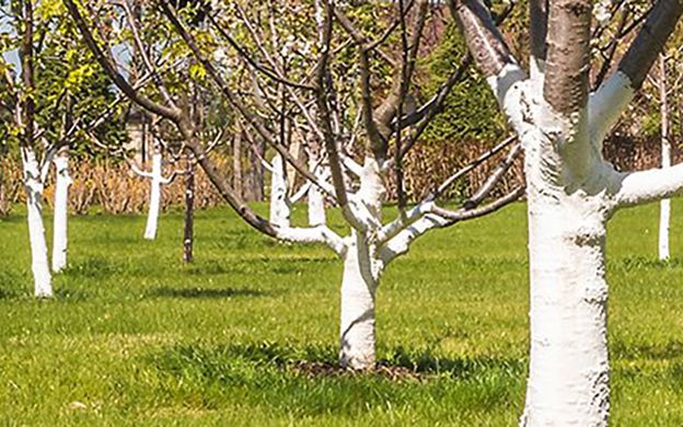 Фарба для дерев Bayris Садівник захисна 3 кг 18 м² (Б00001979)