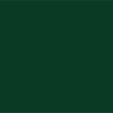 Фарба для дахів Bayris Profi Roof Paint 5 кг зелена (Б00002292)