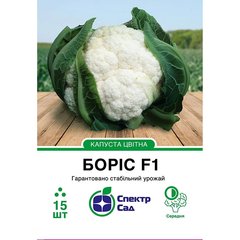 Cauliflower seeds Boris F1 SpektrSad 1500-2000 g 15 pcs (230000869)