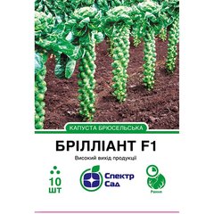 Brussels sprout seeds Diamond F1 SpektrSad 10 pcs (230000560)