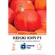 Pumpkin seeds Kenji Kuri F1 SpektrSad 1000-1500 g 5 pcs (230000708)
