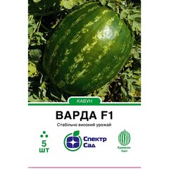 Watermelon seeds Varda F1 SpektrSad 11000–15000 g 5 pcs (230000476)