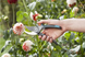 Набір садовий сікатор Gardena Comfort B/M + ножиці Schnipp Schnapp (12200-20.000.00)