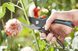 Набір садовий сікатор Gardena Comfort B/M + ножиці Schnipp Schnapp (12200-20.000.00)