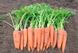 Насіння морква Віта Лонга СпектрСад Флакке 200-250 мм 1 г (230000200)