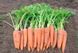 Carrot seeds Vita Longa SpektrSad Flakke 200-250 mm 1 g (230000200)