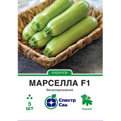 Zucchini seeds Marcella F1 SpektrSad 300-500 g 5 pcs (230000346)
