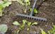 Граблі штирьові Gardena NatureLine FSC 360 мм (17106-20.000.00)