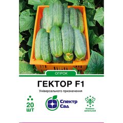 Cucumber seeds сornichon Hector F1 SpektrSad 60-120 mm 20 pcs (230000071)