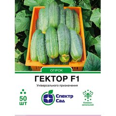 Cucumber seeds сornichon Hector F1 SpektrSad 60-120 mm 50 pcs (230000054)