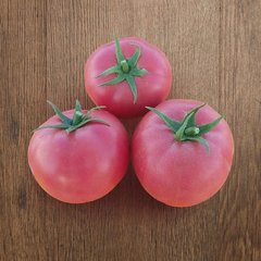 Tomato seeds Hepinet F1 SpektrSad 230-250 g 1000 pcs (10781221)