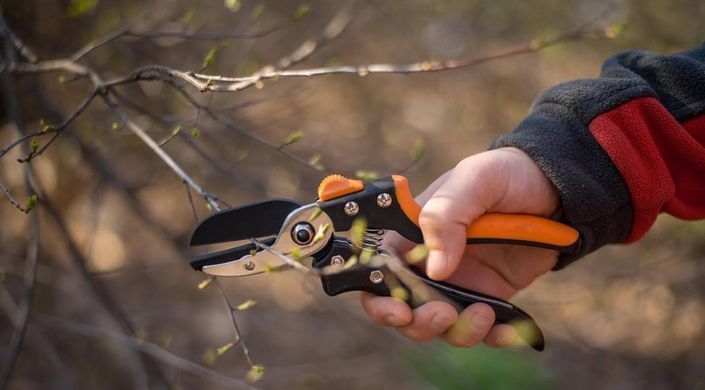 Plane pruner Finland 24 mm 230 g (1541)