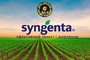 Syngenta: ефективний захист і живлення