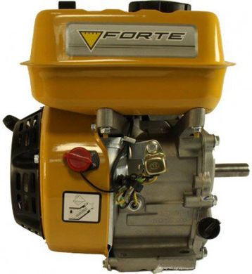 Двигун бензиновий Forte F200G (29962)
