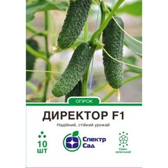 Cucumber seeds сornichon Director F1 SpektrSad 90-100 g 10 pcs (230000093)