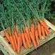 Насіння морква Престо F1 СпектрСад Нантська 180-200 мм 400 шт (230000956)
