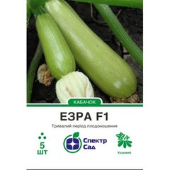 Zucchini seeds Ezra F1 SpektrSad 400-600 g 5 pcs (230000379)