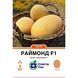 Melon seeds Raymond F1 SpektrSad Pineapple 3000-5000 g 5 pcs (230000333)