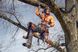 Мотузка альпіністська помаранчева Husqvarna Climbing 11.5 мм 60 м (5340987-02)
