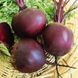 Table beet seeds Zepo F1 SpektrSad 300-500 g 200 pcs (230000156)