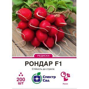 Radish seeds Rondar F1 SpektrSad 30 mm 200 pcs (230000323)