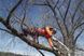 Система страховки арбориста Husqvarna Climbing 150 кг 2.5 кг (5340986-01)