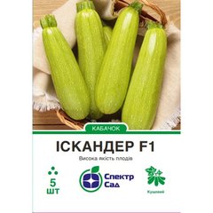 Zucchini seeds Iskander F1 SpektrSad 300-500 g 5 pcs (230000045)