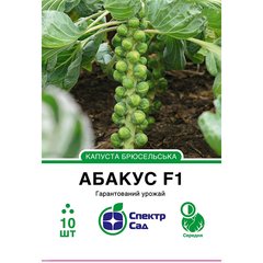 Brussels sprout seeds Abacus F1 SpektrSad 25-30 mm 10 pcs (230000014)
