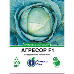White cabbage seeds Aggressor F1 SpektrSad 3000–4000 g 100 pcs (230000022)