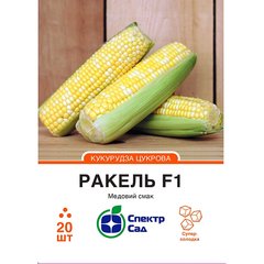 Насіння кукурудза цукрова Ракель F1 СпектрСад 300-350 г 20 шт (230000282)