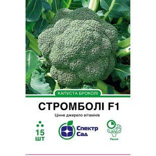 Broccoli cabbage seeds Stromboli F1 SpektrSad 800-1000 g 15 pcs (230000603)