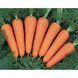 Carrot seeds Canada F1 SpektrSad Shantane 160-200 mm 400 pcs (230000231)
