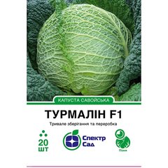 Savoy cabbage seeds Tourmaline F1 SpektrSad 2000-3000 g 20 pcs (230000828)