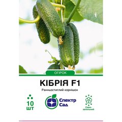 Cucumber seeds сornichon Kibria F1 SpektrSad 35-40 days 10 pcs (230000044)