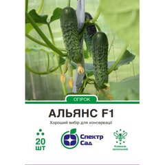Cucumber seeds сornichon Alliance F1 SpektrSad 100-120 g 20 pcs (230000336)