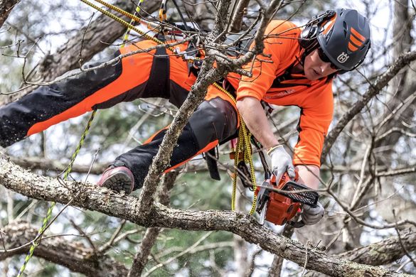 Пила ланцюгова бензинова Husqvarna T525 1100 Вт 250 мм (9707375-10)